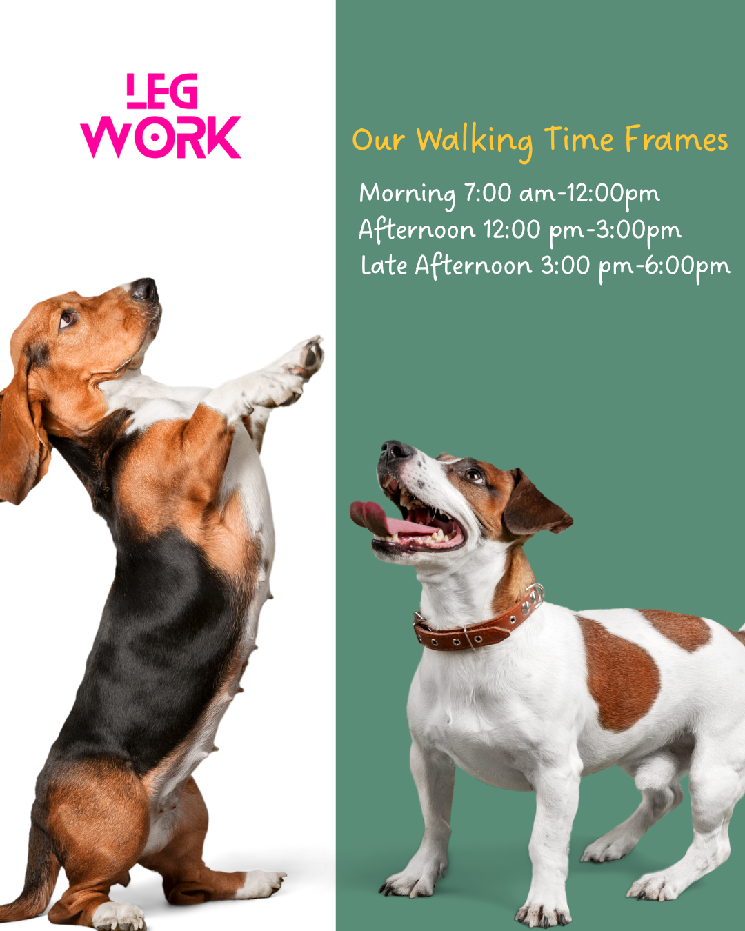 30-Minute Dog Walk