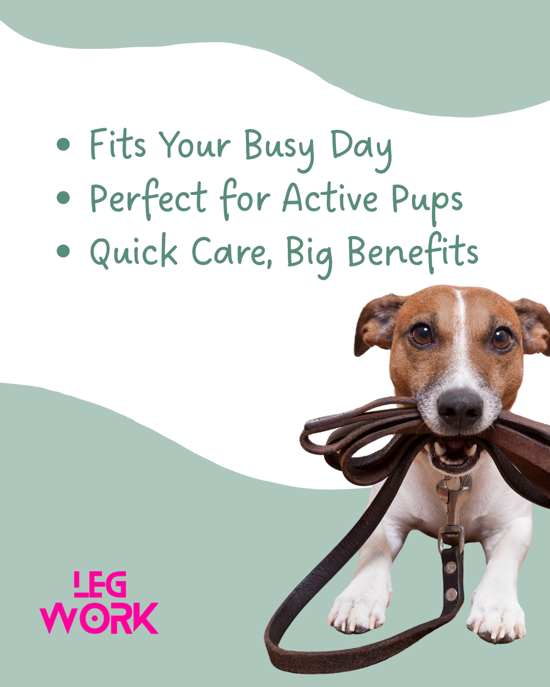 30-Minute Dog Walk