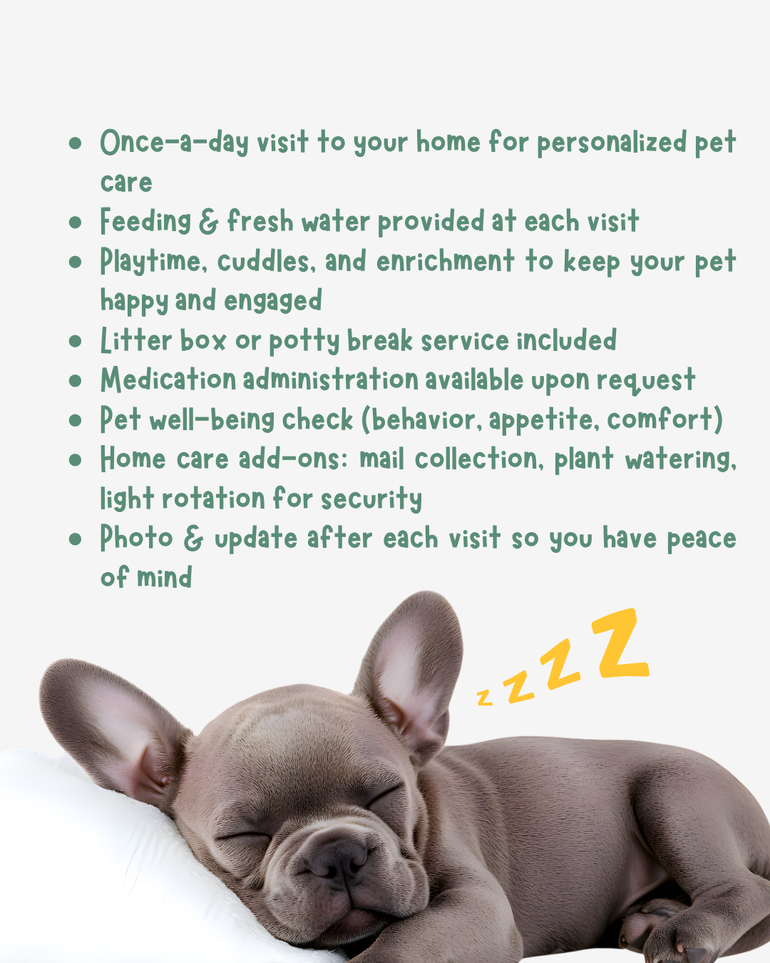 Daily Visit Pet Sitting