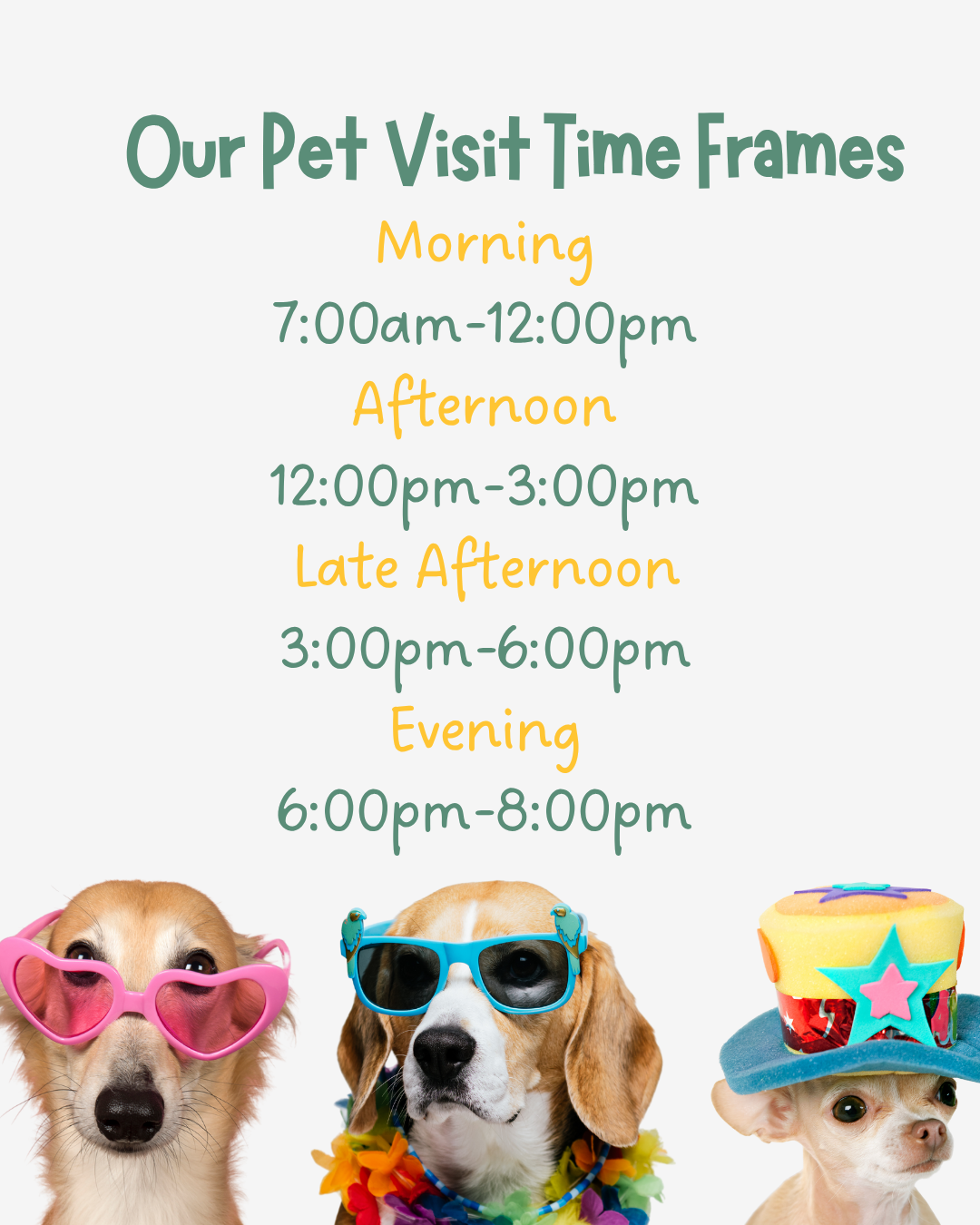 Daily Visit Pet Sitting