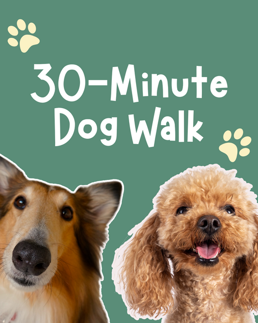 30-Minute Dog Walk