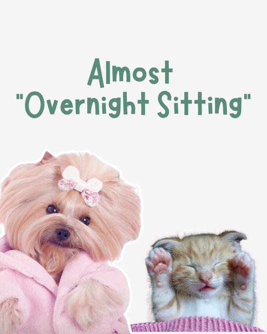 "Almost Overnight" Sitting