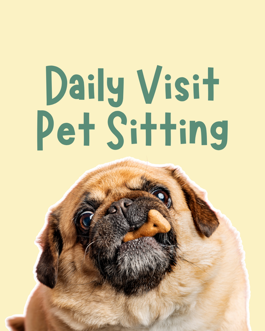 Daily Visit Pet Sitting